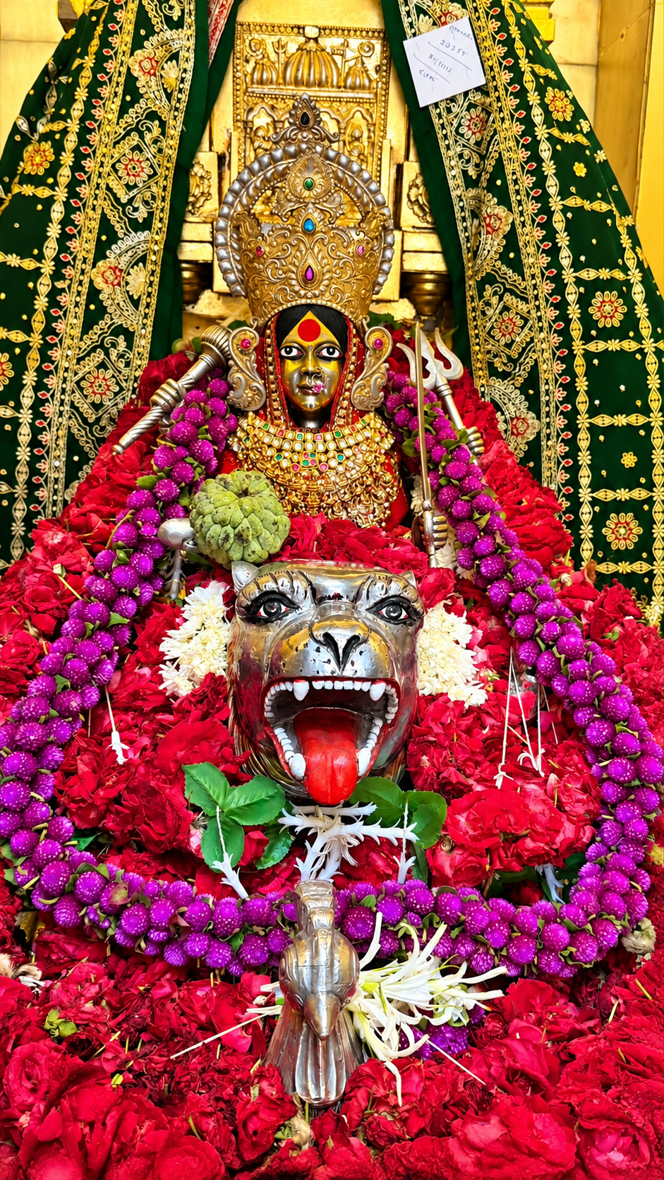 માતાજીના દર્શન